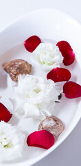 dish with flowers and seashells in the spa