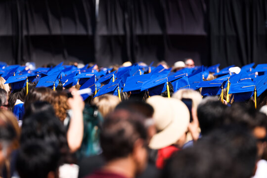 Graduation Caps