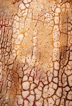 ceramic plate closeup macro abstract texture patterns colors