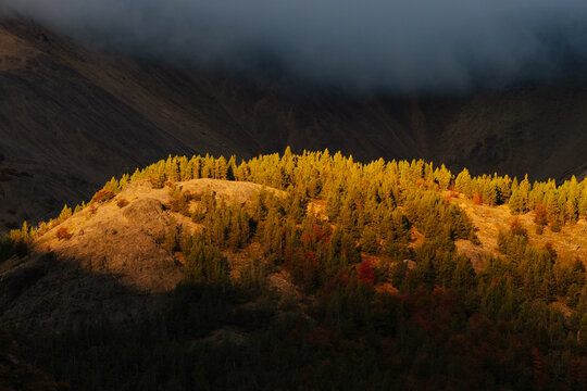 Ridgeline illuminated at sunset
