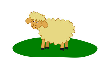 Young and beautiful sheep in profile in green meadow with white background - vector