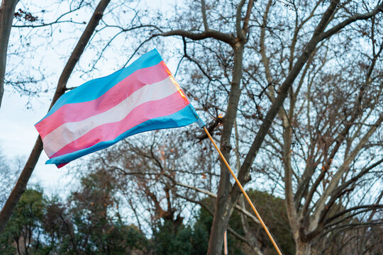 Transgender Flag During Women March Protest On The Streets.
