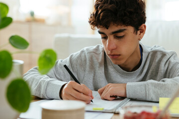 Teen boy doing homework at home