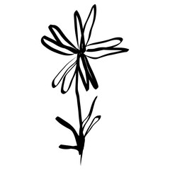 Flower Icon. Simple Hand Drawn Floral Element. Black Sketch ink Drawing Plant. Wildflower