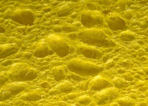 closeup macro abstract patterns yellow sponge