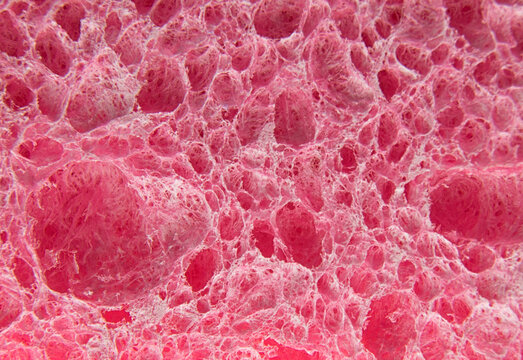 closeup macro pink sponge abstract textures patterns colors