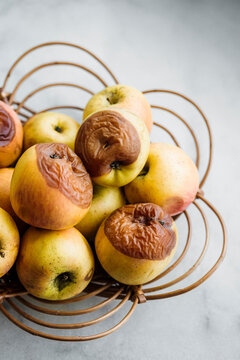 rotten apples