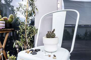 Corner of a terrace with a blue metal chair next to a glass window