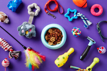 Pet training accessories and bowl of dry food on purple background. Pet care concept. Flat lay, top view.