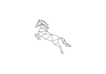 jump geometri horse