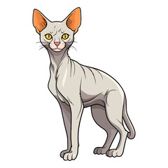 Graceful Whiskers: Enchanting 2D Illustration of a Charming Peterbald Cat