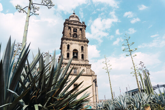 Mexico City Cathedral.