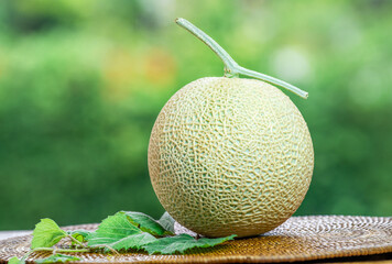 Crown Musk Melon on blurred greenery background, Cantaloupe Crown Melon fruit in Bamboo mat on...