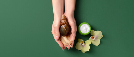 Female hands with giant Achatina snail and cosmetic cream on green background