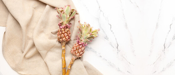 Decorative pineapples with cloth on light background with space for text