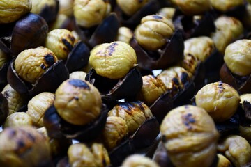 Chestnut Galore