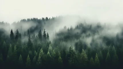 Foto auf Acrylglas Morgen mit Nebel Fog hanging over a forest of trees