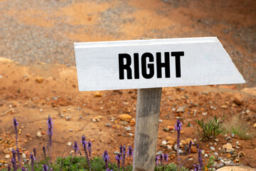 Obraz premium white wooden signpost with the word right