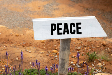 Obraz premium white wooden signpost with the word peace