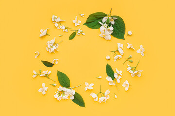 Fototapeta na wymiar Frame made of beautiful jasmine flowers and leaves on color background