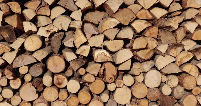 Log Pile Closeup