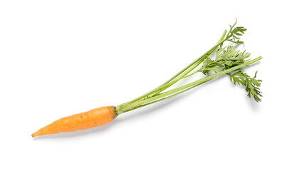 Fresh carrot with green tops isolated on white background