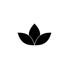 Fototapeta na wymiar Lotus Flower Element
