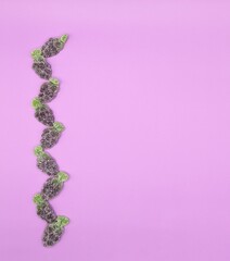 Grape gummy fruits vertical composition on purple background