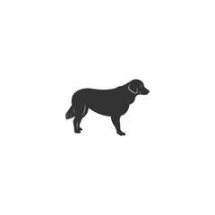 dog vector in white background