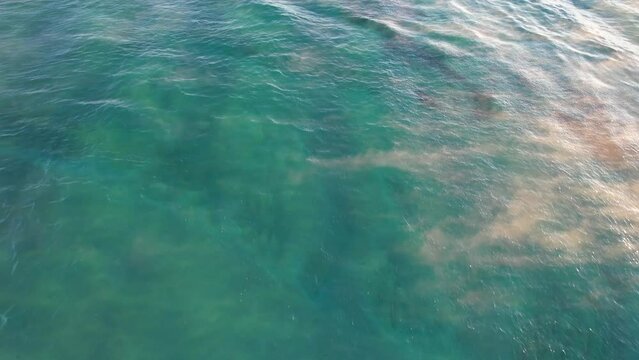 Flying Above The Sea With Mist On A Sunny Morning At Coolum Beach In Australia. aerial tilt-up