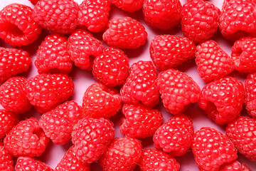 Many fresh raspberries on pink background
