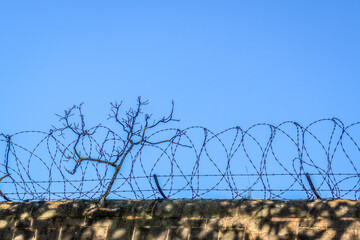 barbed wire on top of old prison stone wall