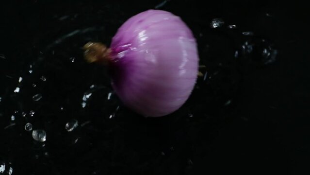 Slow motion single fresh whole onion falling onto rippling water bouncing on surface isolated on black - Powered by Adobe