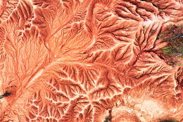 El Desierto de la Tatacoa es considerado como uno de los principales atractivos ambientales y...