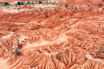 El Desierto de la Tatacoa es considerado como uno de los principales atractivos ambientales y...