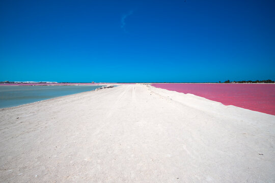 Las Coloradas es un puerto ubicado en el litoral norte de la pen&iacute;nsula de Yucat&aacute;n perteneciente al municipio de R&iacute;o Lagartos en el estado de Yucat&aacute;n, M&eacute;xico