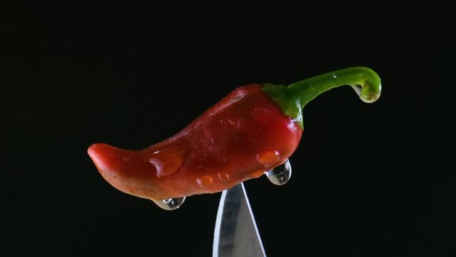 Red chilli covered in water droplets on silver knife blade rotating isolated against black background