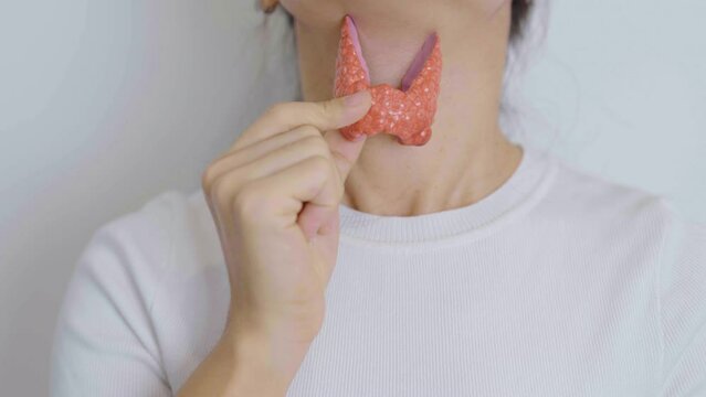 Woman holding human Thyroid anatomy model with her Neck. Hyperthyroidism, Hypothyroidism, Hashimoto Thyroiditis, Thyroid Tumor and Cancer, Postpartum, Papillary Carcinoma and Health concept
