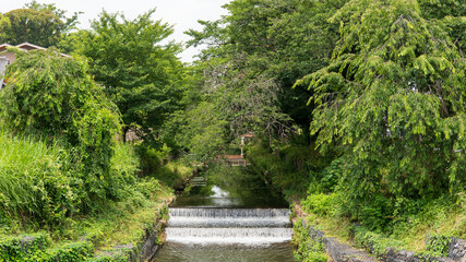 Fototapeta premium 宮下橋から見る夏の新河岸川の風景／日本埼玉県川越市