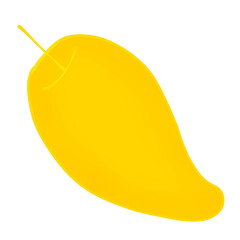 yellow mango
