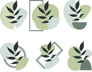Vector set of trendy minimalistic leaves in pots on white background. Vector illustration.