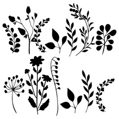 Vector Plant and Flower Silhouettes. A set of diverse black-colored vector flowers on a transparent background.
