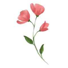 Obraz premium bouquet of pink roses