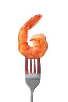 Shrimp-and-prawn on a fork isolated