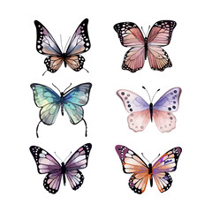 Obraz na płótnie Canvas Set of tropical butterflies. Collection of colourful butterflies on a white background for designers, print for printing on a t-shirt