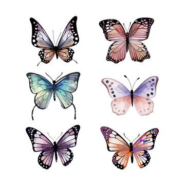 Set of tropical butterflies. Collection of colourful butterflies on a white background for designers, print for printing on a t-shirt