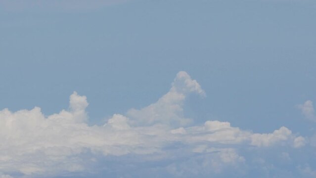 
Tokyo,Japan - July 6, 2023: Dog shaped cloud above the pacific ocean in summer
