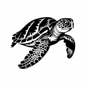 Vector black silhouette of a turtle isolated on a white background, turtle, vector illustration
