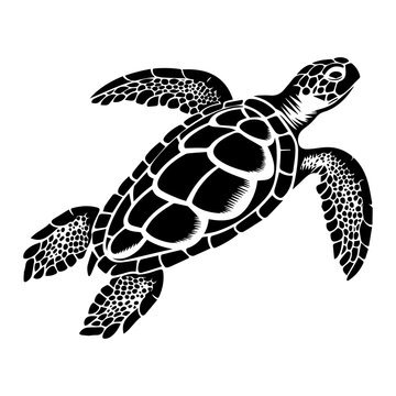 Vector black silhouette of a turtle isolated on a white background, turtle, vector illustration