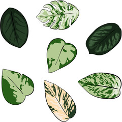 Fun green leaves as a collection of different shapes. These foliage drawings can be used for event invatations, boho decorations, artwork textures and much more. Colorful leaf illustrations for summer